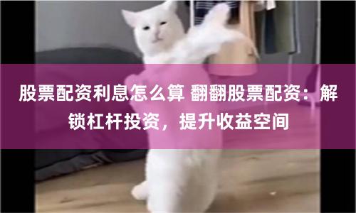 东莞市股票配资公司